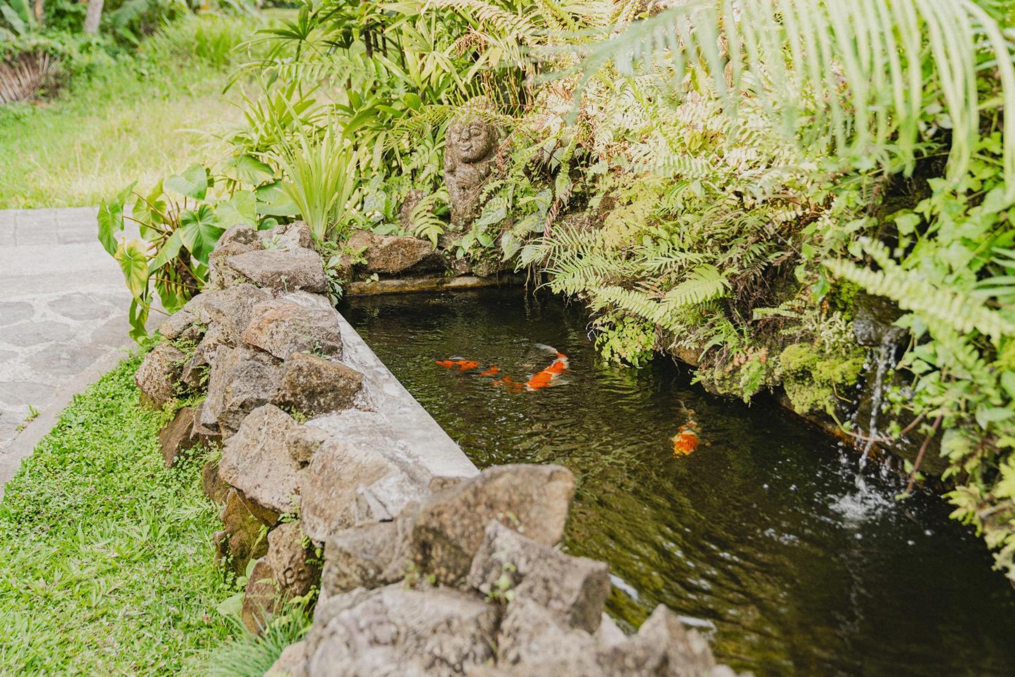 Sweet Orange Pondok Ubud Extérieur photo